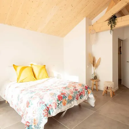 Ted Surf House * Capbreton