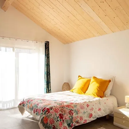 Ted Surf House *