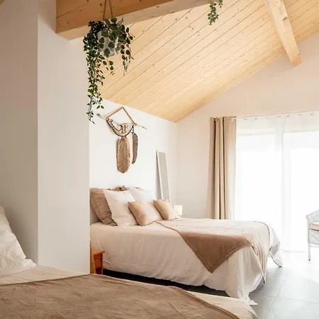 Ted Surf House *