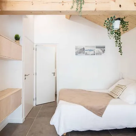 Bed & Breakfast Ted Surf House *