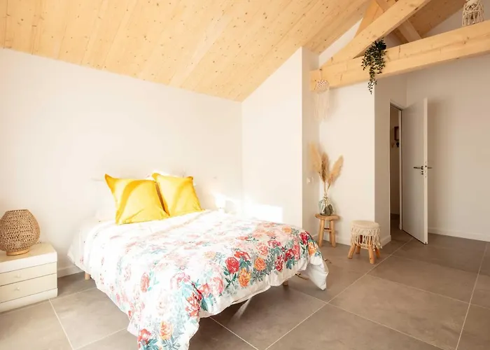 Ted Surf House * Capbreton