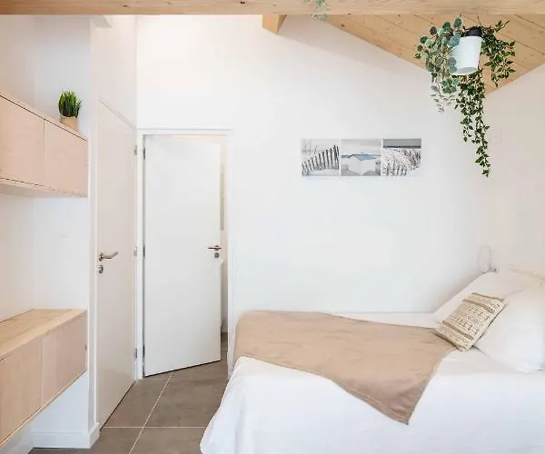 ベッド・アンド・ブレックファスト Ted Surf House *